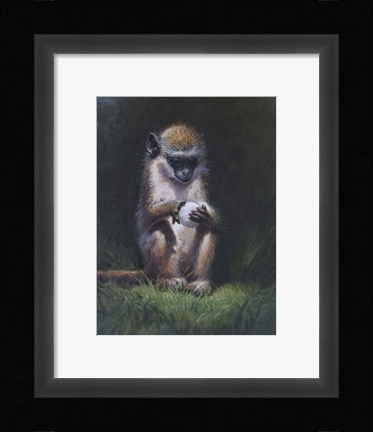 Framed Inquisitive Print
