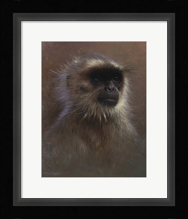 Framed Monkey Portrait Print