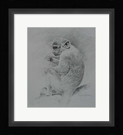 Framed Monkey Sketch 2 Print
