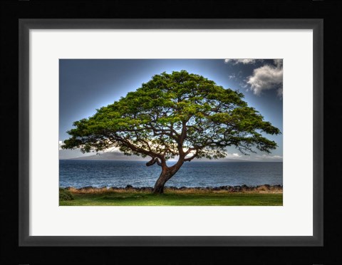 Framed Majestic Print