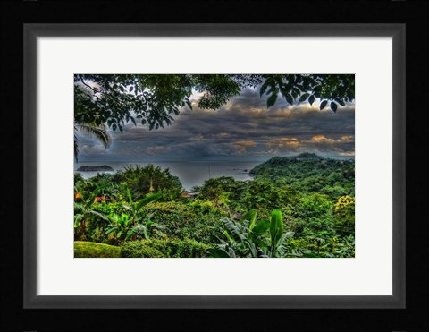 Framed Lush View Print