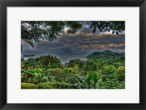 Framed Lush View Print