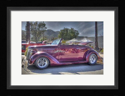 Framed Pink Beauty Print