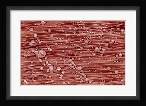 Framed Bubbles Print