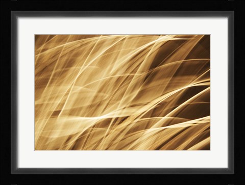 Framed Poesia En Monocromo 2 Print