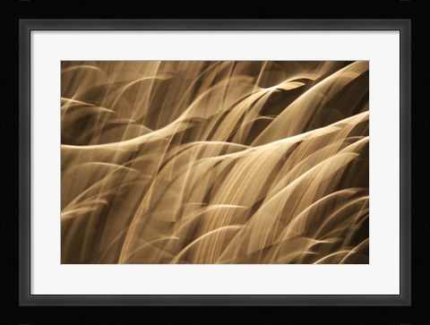 Framed Poesia En Monocromo 7 Print