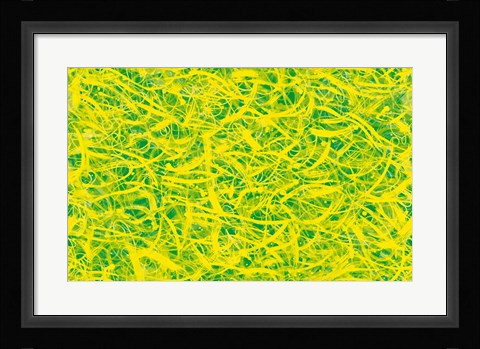 Framed Splatter Print