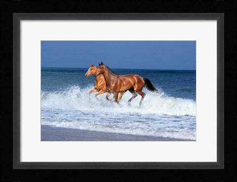 Framed 2 Horses Sea Print