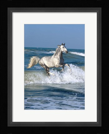 Framed Dapple Sea Print
