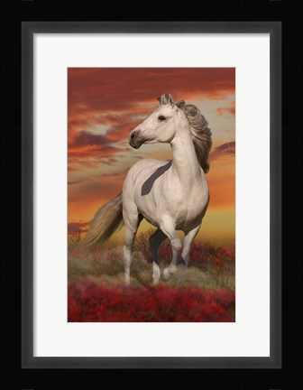 Framed White Stallion Print