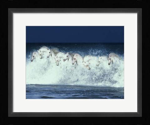 Framed Foam Followers Print