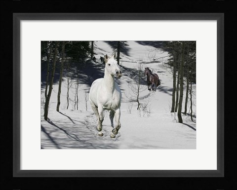 Framed Snow Chase Print