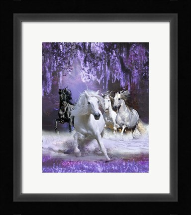 Framed Stampede Print