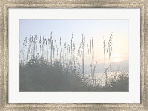 Framed Morning Whisper I Print