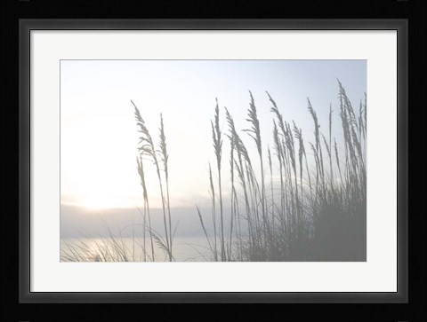 Framed Morning Whisper II Print