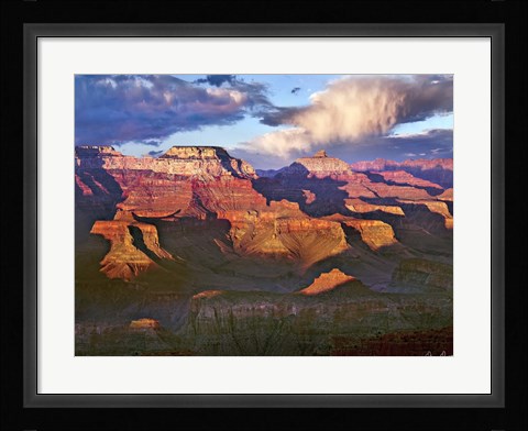 Framed Canyon View III Print