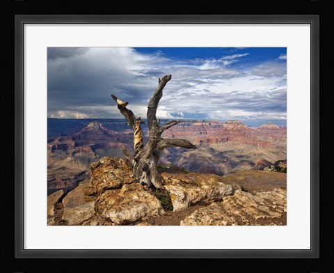Framed Canyon View V Print