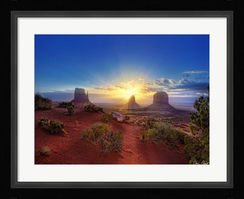 Framed Pink Morning Glory I Print