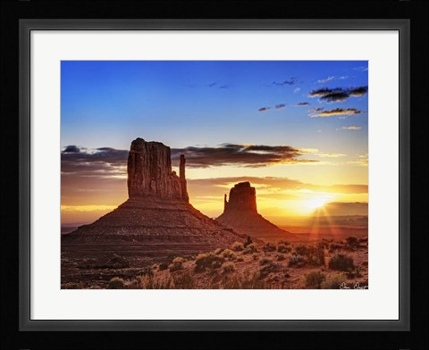 Framed Pink Morning Glory III Print