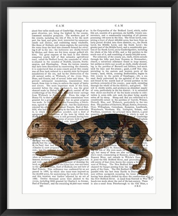 Framed Hare and Black Leaves Print
