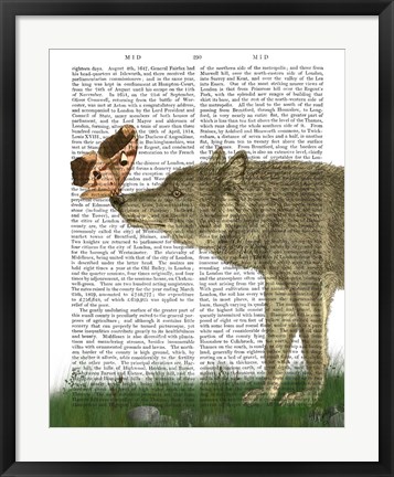 Framed Wolf and Moth Print