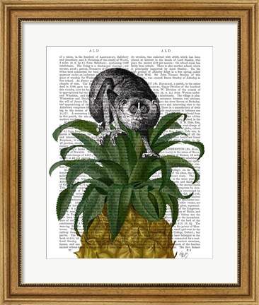 Framed Loris on Pineapple Print
