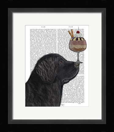 Framed Newfoundland Ice Cream Print