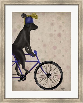 Framed Black Labrador on Bicycle Print