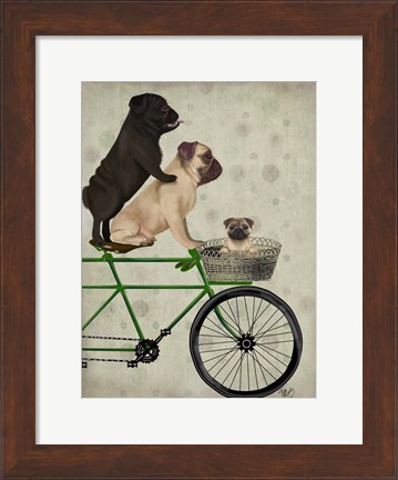 Framed Pugs on Bicycle Print