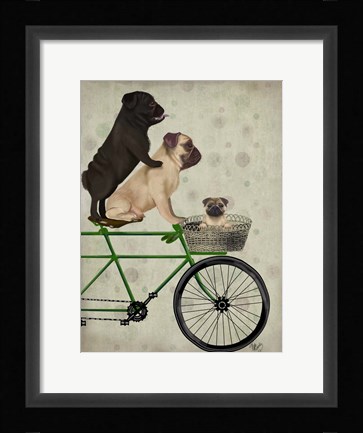 Framed Pugs on Bicycle Print