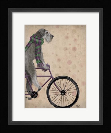 Framed Schnauzer on Bicycle, Grey Print