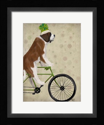 Framed St Bernard on Bicycle Print