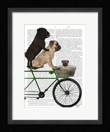 Framed Pugs on Bicycle Print