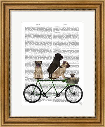 Framed Pug Tandem Print