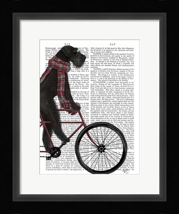 Framed Schnauzer on Bicycle, Black Print