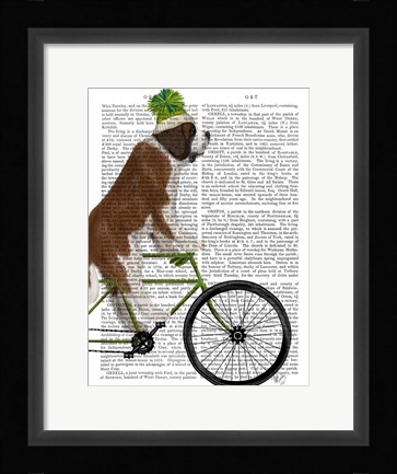Framed St Bernard on Bicycle Print