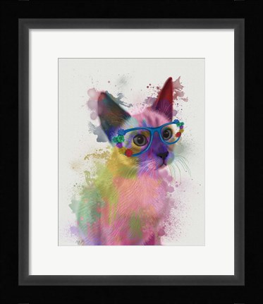 Framed Rainbow Splash Cat 2 Print