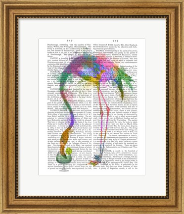 Framed Rainbow Splash Flamingo 3 Print
