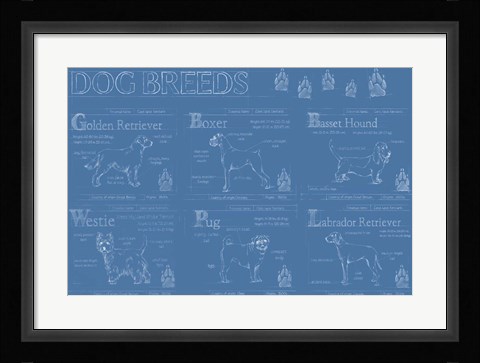 Framed Dog Breeds Infograph Print