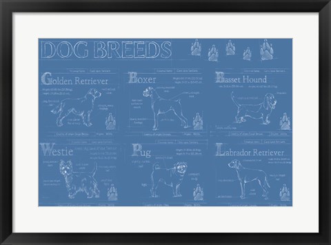 Framed Dog Breeds Infograph Print