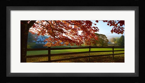 Framed Farm &amp; Country IX Print