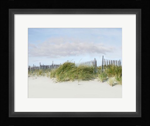 Framed Beachscape IV Print