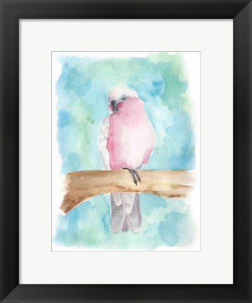 Framed Sweet Tropical Bird III Print