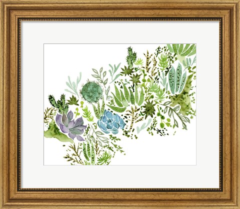 Framed Succulent Field I Print