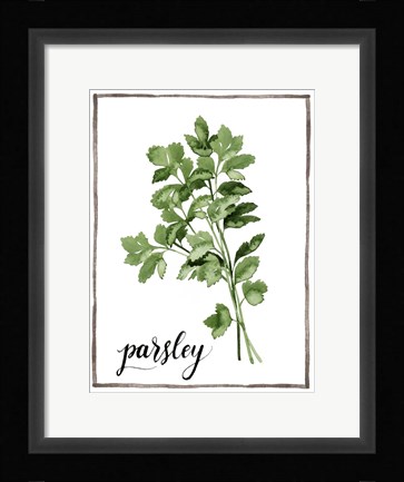 Framed Watercolor Herbs II Print