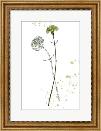 Framed Botany Flower III Print