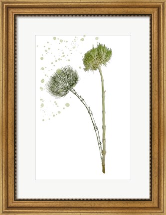 Framed Botany Flower V Print