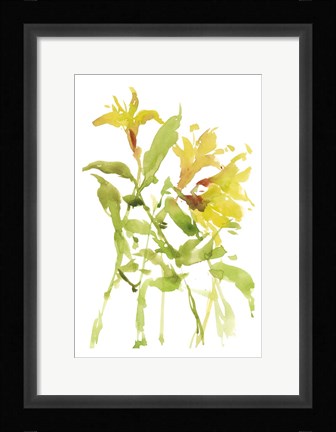 Framed Watercolor Lilies I Print