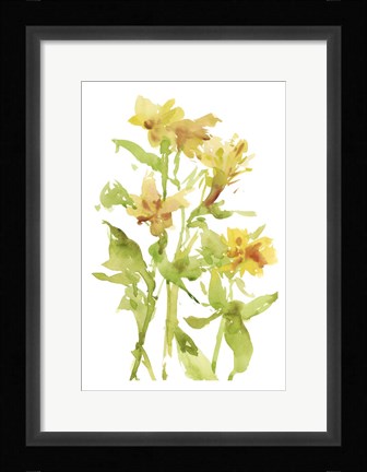 Framed Watercolor Lilies II Print