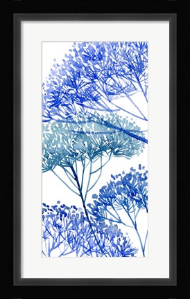 Framed Little Sapling II Print